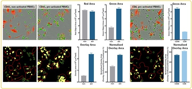 Monitoring cell-to-cell interactions: Immune cell killing
