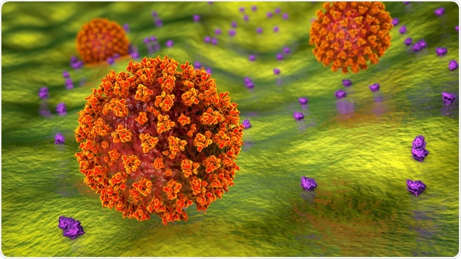 SARS-CoV-2 virus binding to ACE2 receptors on a human cell, the initial stage of COVID-19 infection. Illustration Credit: Kateryna Kon / Shutterstock