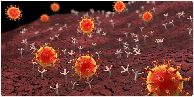 SARS-CoV-2 viruses binding to ACE-2 receptors on a human cell. Image Credit: Kateryna Kon / Shutterstock