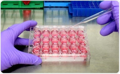 Incucyte® SX5 Live-Cell Analysis System