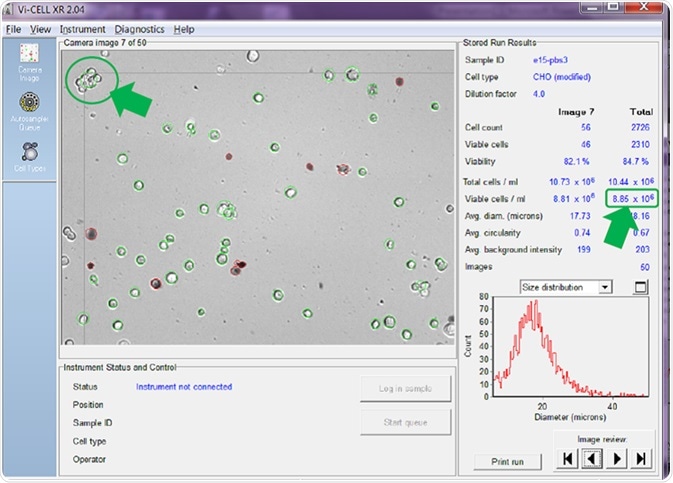 Counter set to count cells in clumps as one single cell.