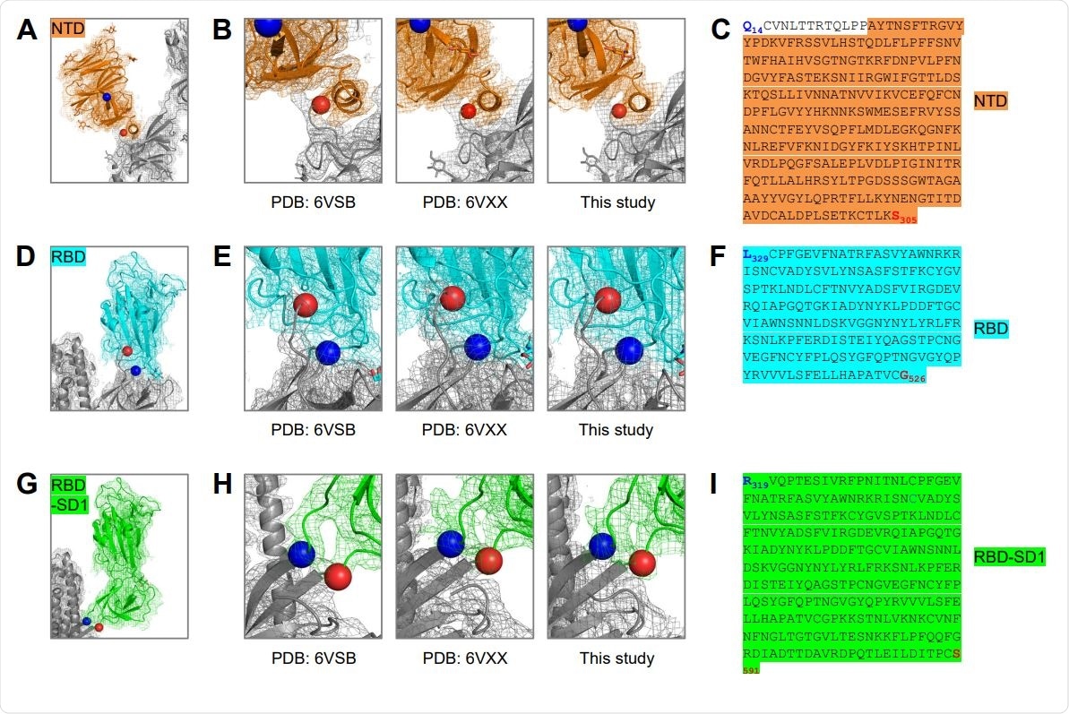 Structure-Based Definition of SARS-CoV-2 Molecular Probes Comprising the NTD, RBD and RBDSD1 Domains (A) Cryo-EM structure of the NTD domain in the S2P probe determined in this study (Figure 3E), with reconstruction density shown in orange for NTD domain, and gray otherwise. First ordered residue with density (A27) is highlighted with a blue sphere; last residue of NTD domain (S305) is highlighted with a red sphere. (B) Close-up view of the NTD termini. (C) Sequence of NTD domain probe. The sequence is highlighted in orange except for residues 14-26, which are disordered in the cryo-EM structures. (D) Cryo-EM structure of the RBD domain in spike (Figure 3E), with reconstruction density shown in cyan for RBD domain, and gray otherwise. First residue with density (L329) is highlighted with a blue sphere; last ordered residue of RBD domain (G526) is highlighted with a red sphere. (E) Close-up view of the spike RBD termini. (F) Sequence of RBD domain probe highlighted in cyan. (G) Cryo-EM structure of the RBD-SD1 domains in spike (Figure 3E), with reconstruction density shown in green for RBD-SD1 domain, and gray otherwise. First residue with density (R319) is highlighted with a blue sphere; last ordered residue of RBD-SD1 domain (S591) is highlighted with a red sphere. (H) Close-up view of the spike RBD-SD1 termini. (I) Sequence of the RBD-SD1 domain probe highlighted in green.