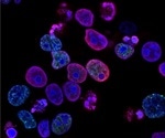Novel fungal compound can turn on p53 gene in cancer cells
