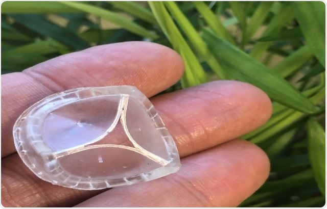 PoliValve, Novel Polymeric Heart Valve Prosthesis