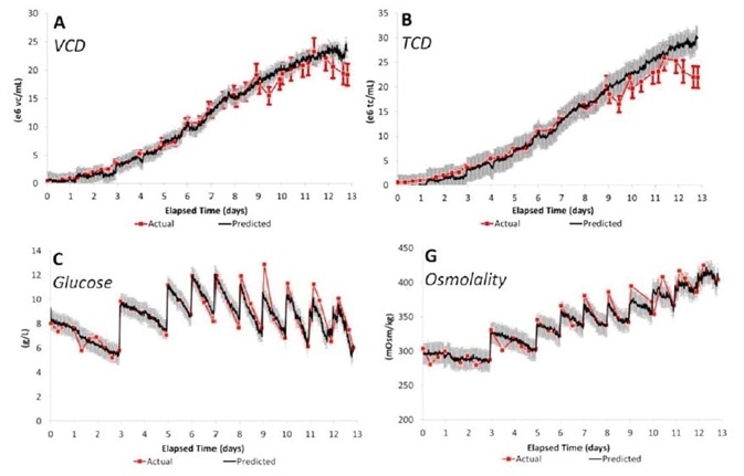 Monitoring of a Cell Culture Using Cross-Scale In Situ Raman Monitoring of a Cell Culture Using Cross-Scale In Situ Raman
