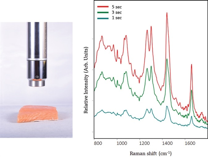 The PhAT probe provides a non-contact measurement of Atlantic salmon (left). The resulting Raman spectra show primarily contributions from lipids, as evidenced by the presence of narrow lipid bands at ~ 1750 cm-1 and 1301 cm-1, a narrower Amide I envelope at ~1650 cm-1, and a shifted CH3 envelope to ~1441 cm-1. Spectra were not preprocessed and are offset to enable clear visualization of each spectrum.