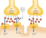 What are NMDA Receptors?