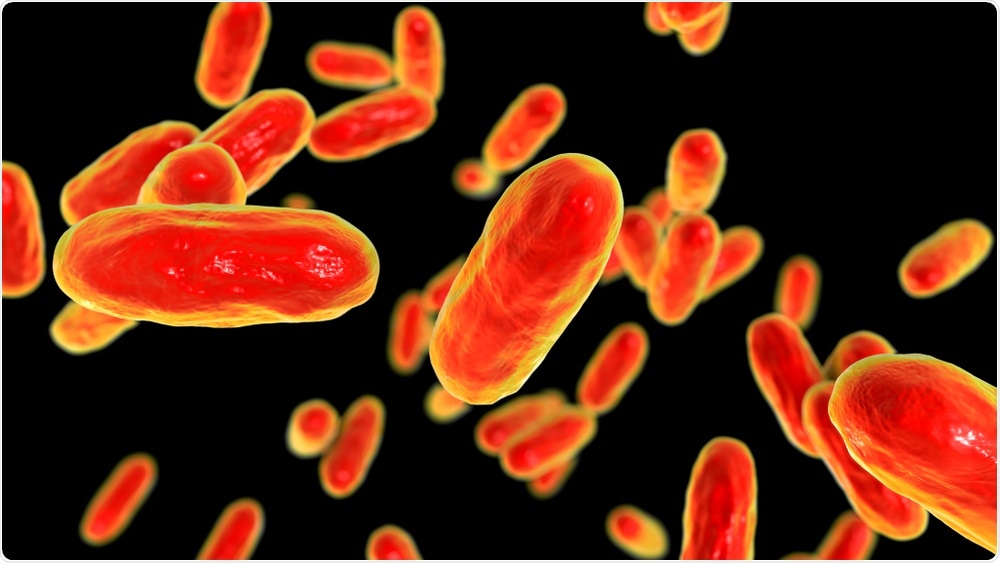 Bacteria Bordetella pertussis, 3D illustration. Image Credit: Kateryna Kon / Shutterstock