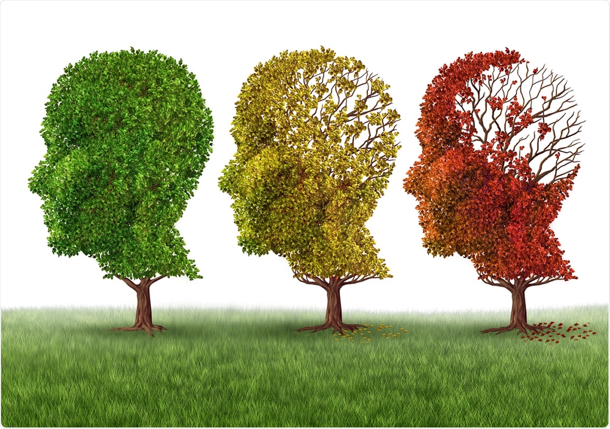 Image Credit: Lightspring / Shutterstock