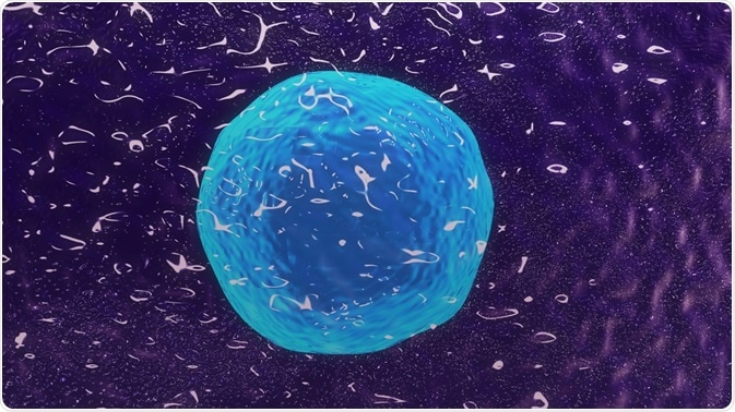 Cytotoxic T Cell Cytotoxic T Cell