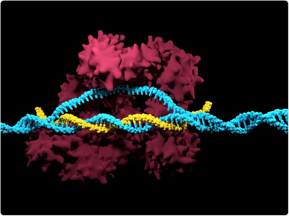 CRISPR-Cas9