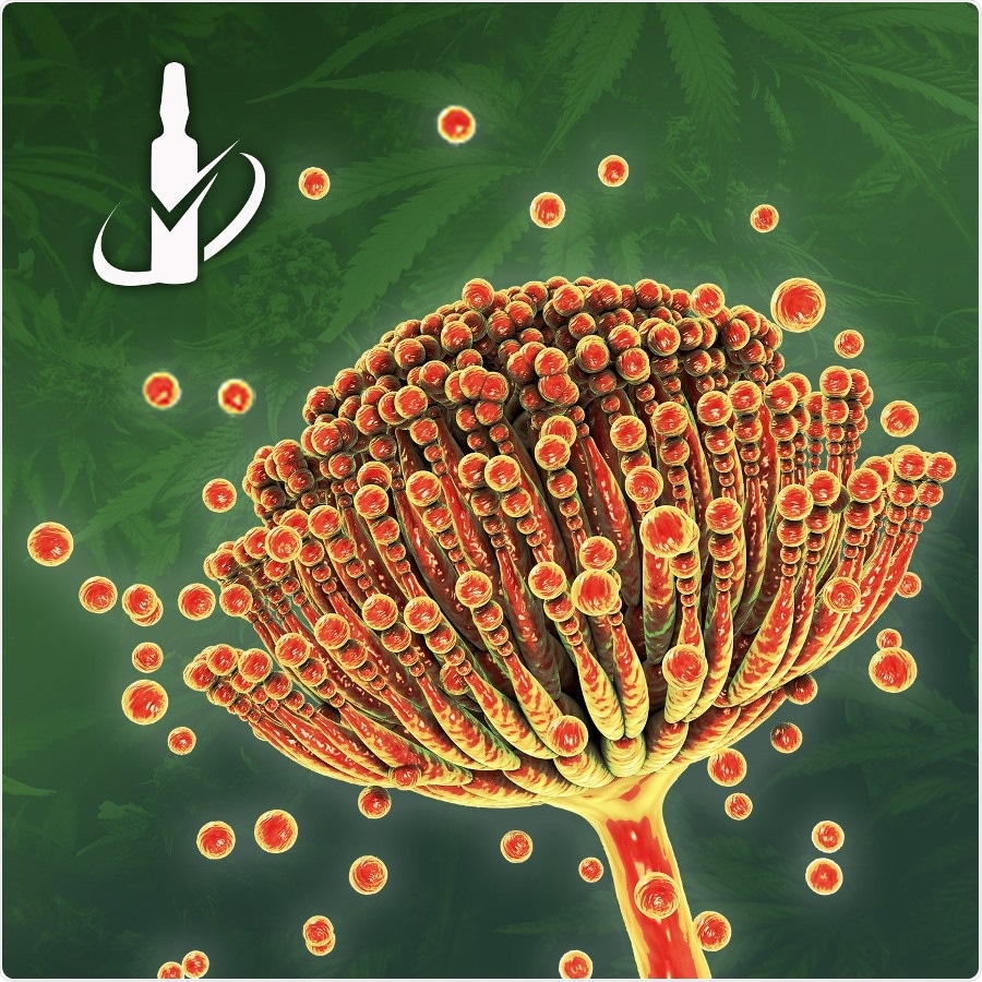 Target mycotoxins in cannabis with Restek’s new Ochratoxin A & Aflatoxins standards Target mycotoxins in cannabis with Restek’s new Ochratoxin A & Aflatoxins standards