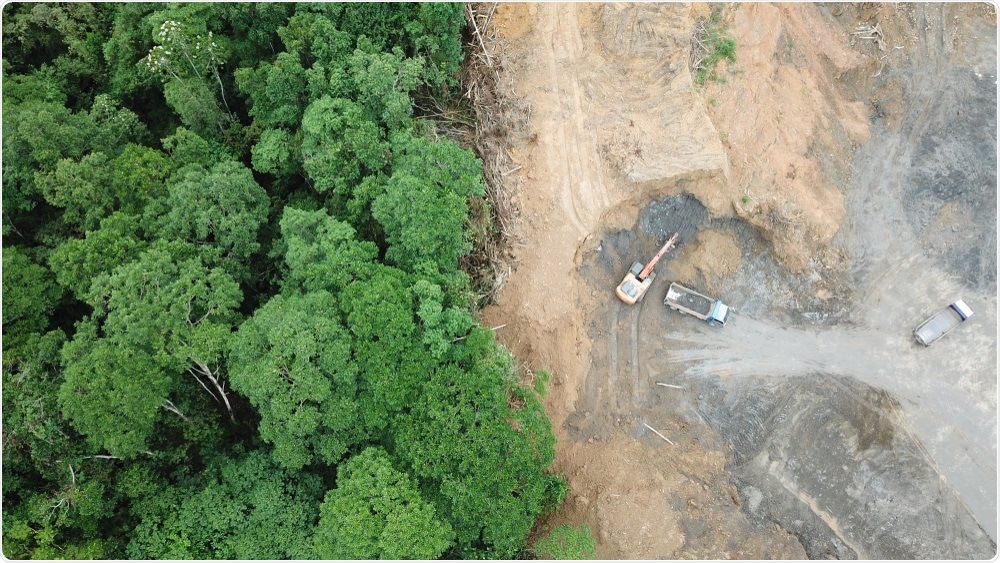 Deforestation aerial photo. Rainforest jungle in Borneo, Malaysia, destroyed to make way for oil palm plantations  Image Credit: Rich Carey