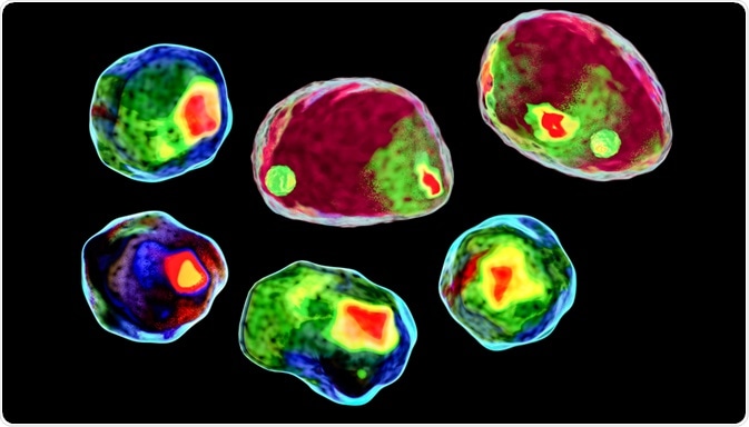 Imaging Flow Cytometry