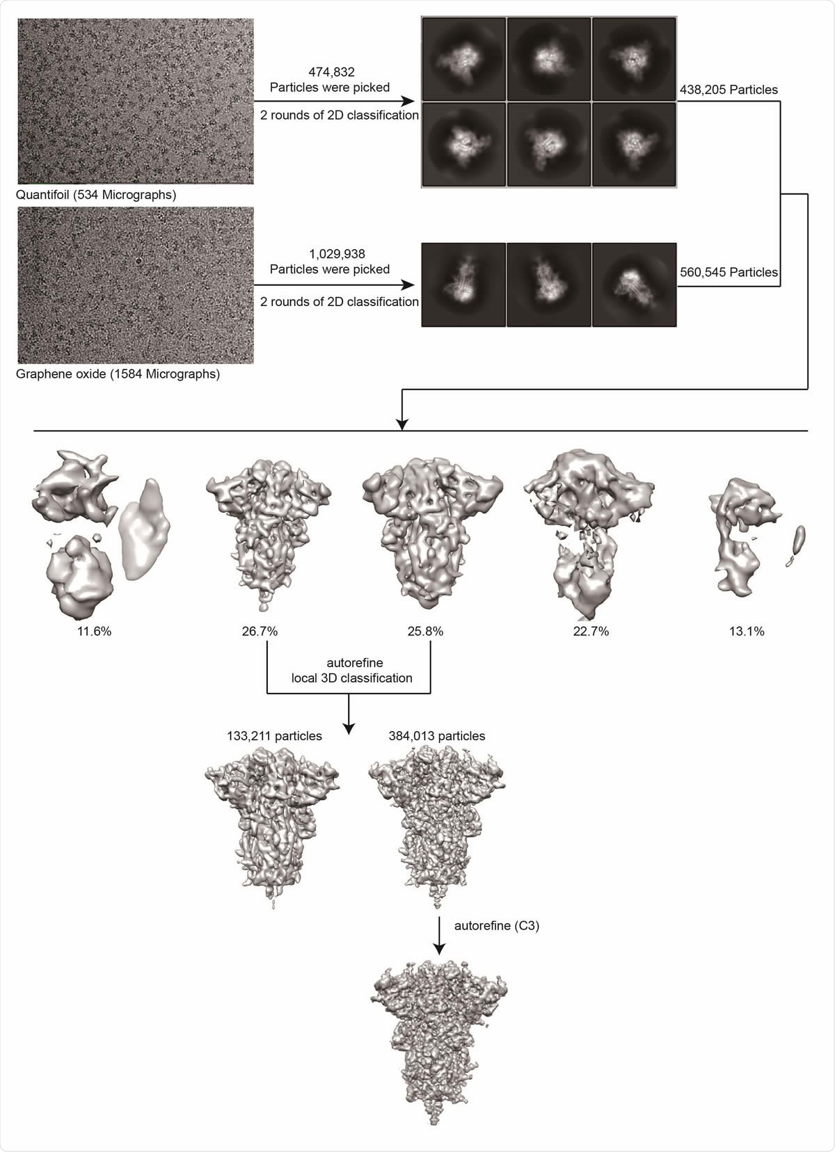 Cryo-EM data processing workflow for the MT S-Trimer.