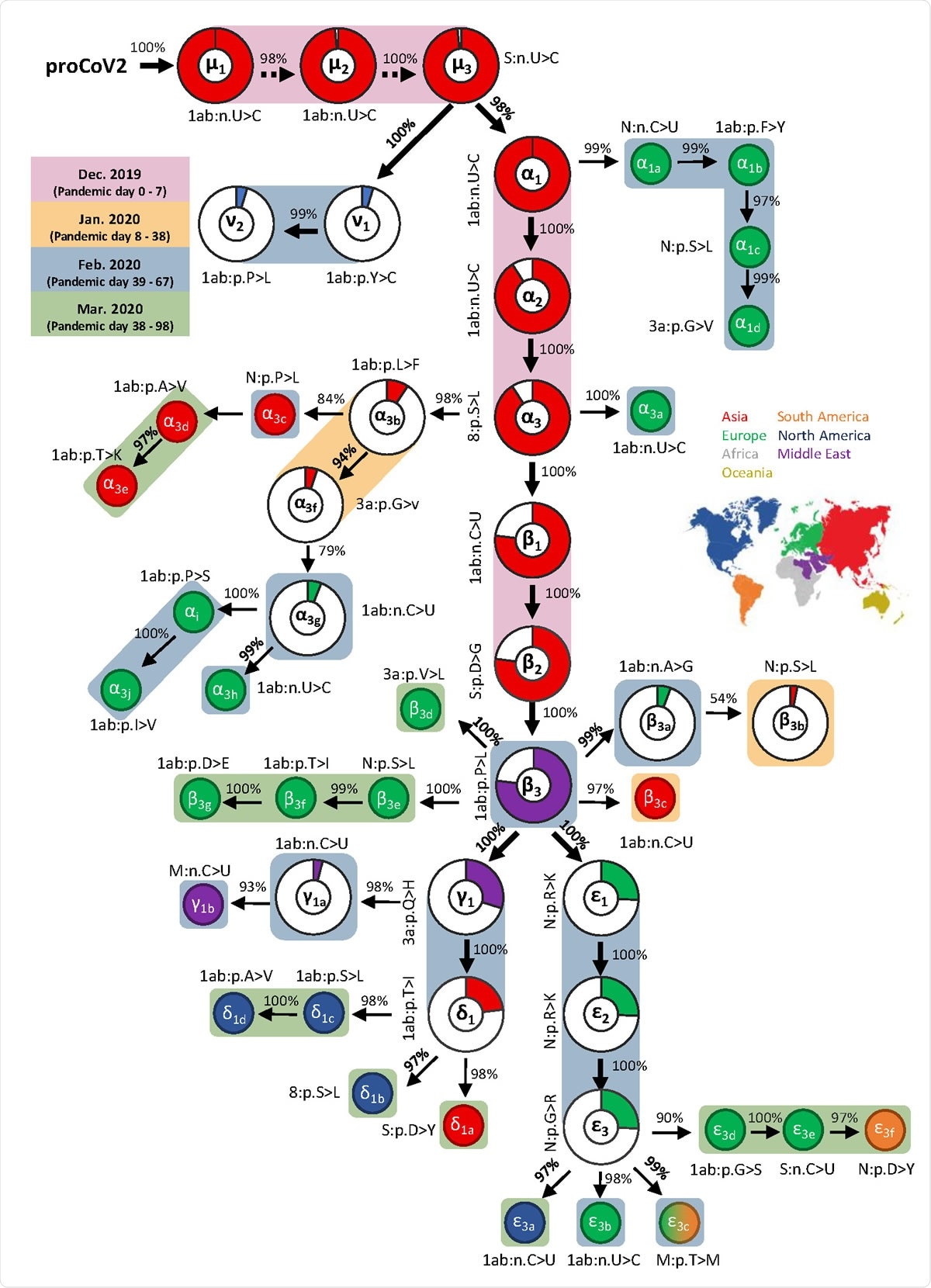Mutational history graph of SARS-CoV-2. Thick arrows mark the pathway of widespread variants (frequency, vf ≥ 5%), and thin arrows show paths leading to other common mutations (5% > vf > 1%). The size of the pie in pie-charts is proportional to variant frequency in the 29KG dataset, with pie-charts shown for variants with vf > 3% and pie color based on the region of the world where that mutation was first observed. A circle is used for all other variants, with the filled color corresponding to the earliest sampling region. The co-occurrence index of each mutation and its predecessor mutation is shown next to the arrow connecting them. Base changes (n.) are shown for synonymous mutations, and amino acid changes (p.) are shown for non-synonymous mutations along with the gene/protein names. A rounded rectangular background indicates the earliest month in which a mutation was first found.