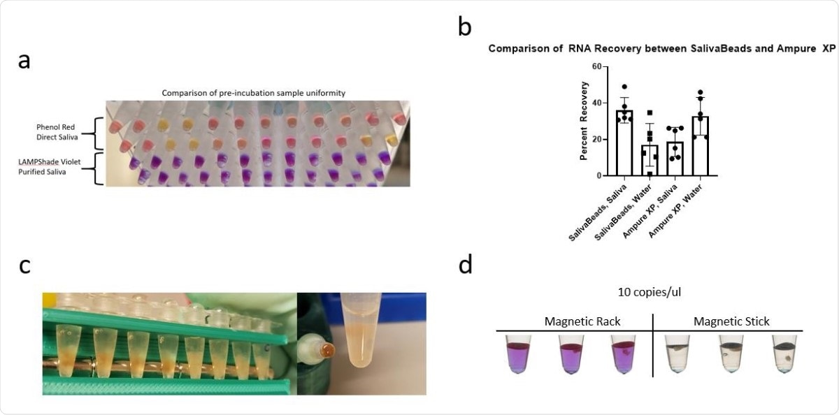 Several features of SalivaBeads purification. (a) A comparison of pre-incubation sample color uniformity in 12 samples, with SARS-CoV-2 and Actin reactions side by side. Direct input of inactivated saliva in a commercial Phenol Red-based reaction is compared to a SalivaBeads-purified RNA input into our LAMPShade Violet-based reaction. (b) A comparison of SARS-CoV-2 RNA recovered from contrived saliva samples by N1 qPCR, measured by number of copies recovered by qPCR divided by number of copies contrived into saliva. (c) A visual comparison of debris bound to magnetic-beads when isolating beads by magnetic rack (left) or a magnetic stick (right). (d) A comparison of sensitivity between SalivaBeads purified via magnetic rack (left) and magnetic stick (right), by RT-LAMP with LAMPShade Violet.