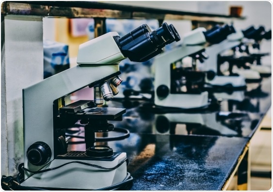 Stem cells with regenerative abilities could be closer on the horizon, shows study