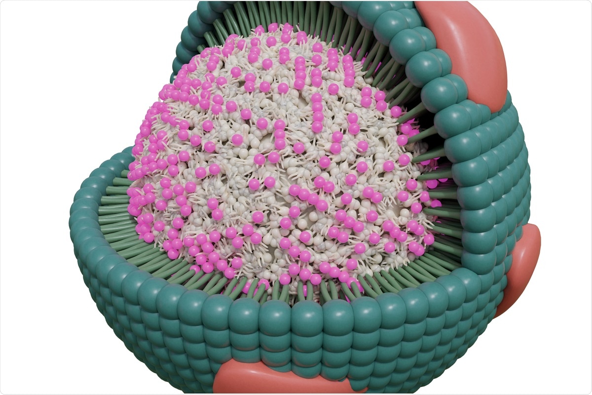 Study: Metabolic markers distinguish COVID-19 from other intensive care patients and show potential to stratify for disease risk. Image Credit: Steven McDowell / Shutterstcok