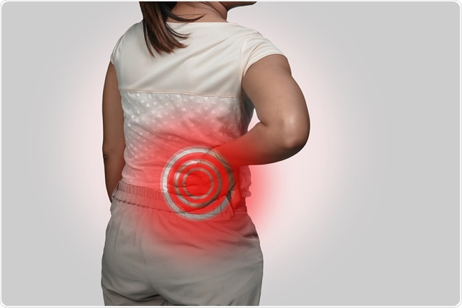 Image Credit: phugunfire / Shutterstock