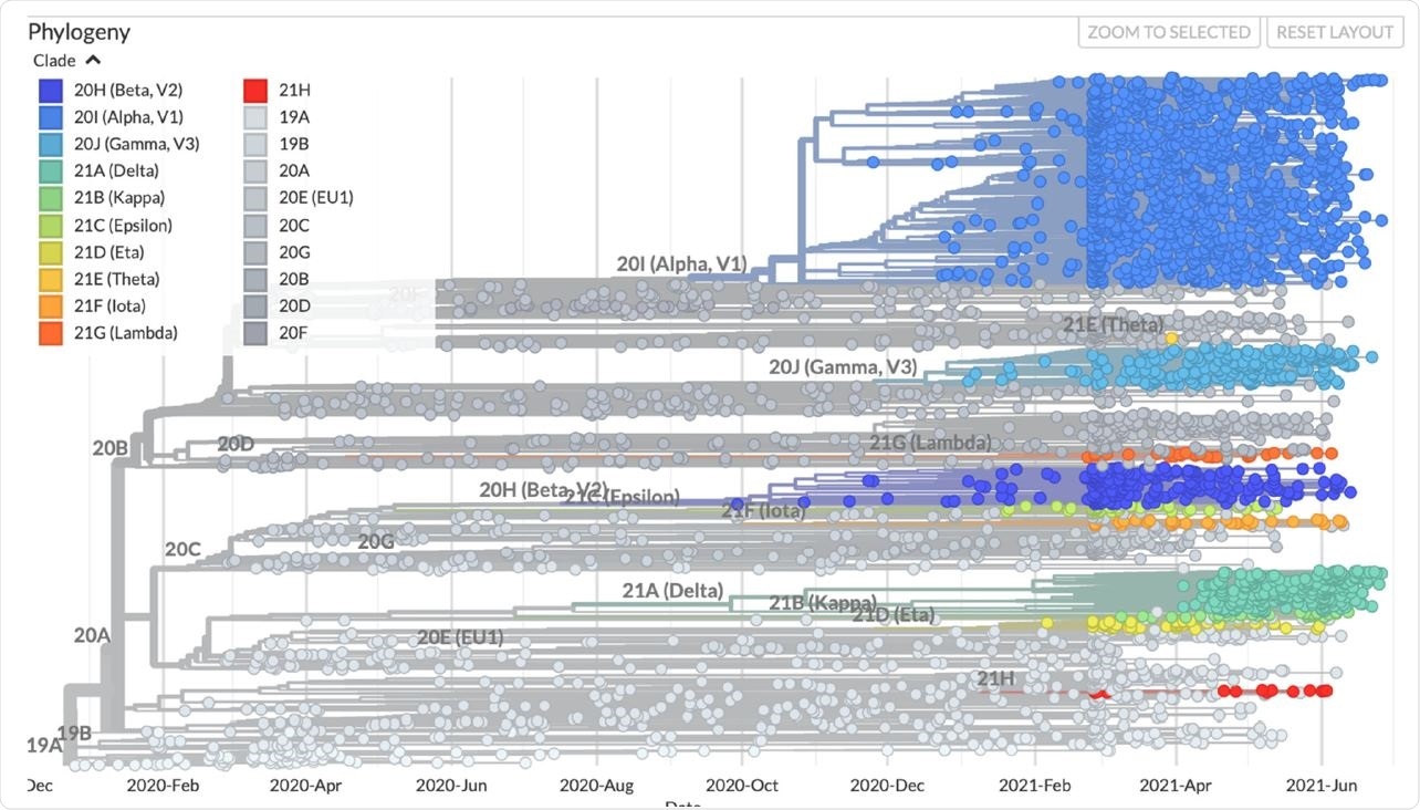 The emergence of new variants over time. The colours represent the ancestral clade. The variants of concern and variants of interest are shown on the graph. The image was taken from www.nextstrain.org under a CC-BY-4.0 license and is unchanged (accessed on 15 July 2021).