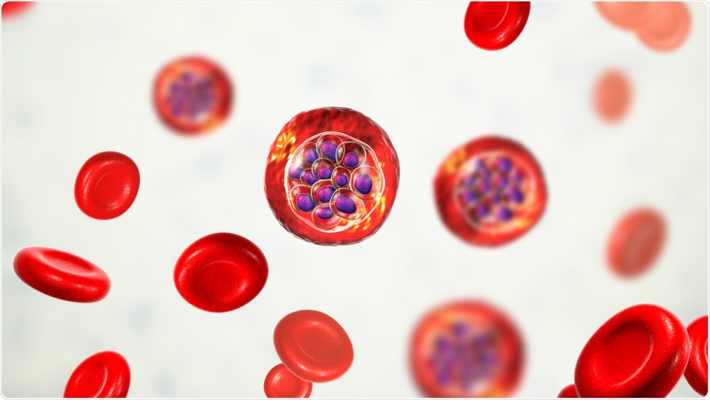 Plasmodium Vivax Plasmodium Vivax