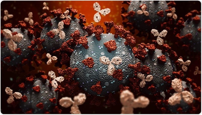 Monoclonal Antibodies attacking COVID-19