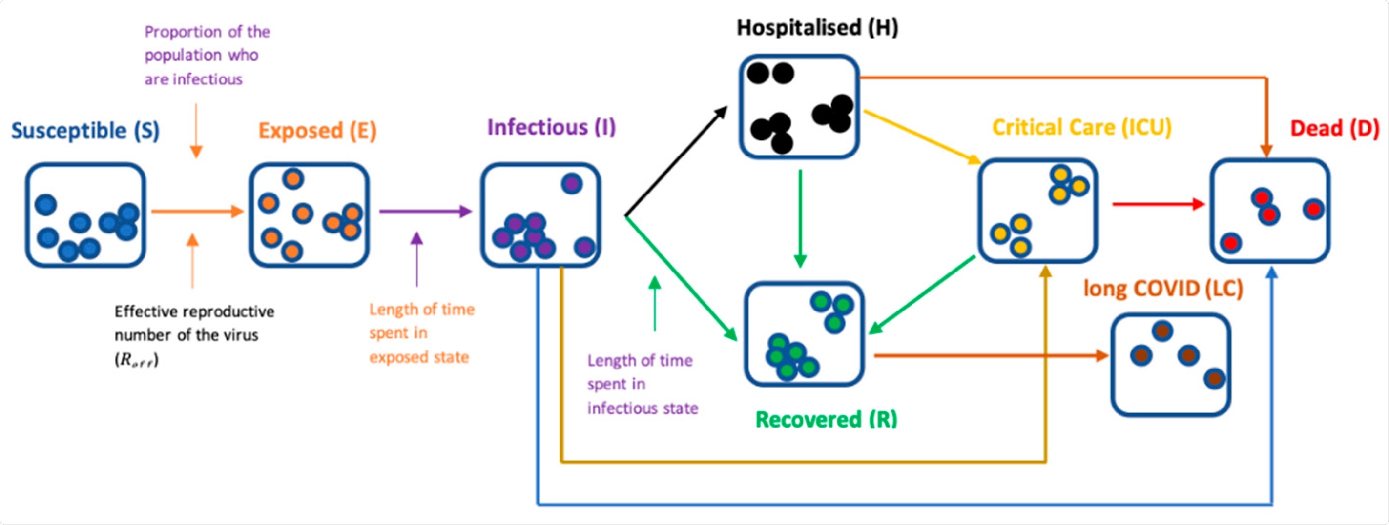 Flow diagram characterizing the transmission model.