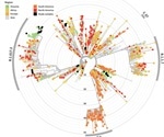 Host and in vitro genomic variability of SARS-CoV-2 and its variants