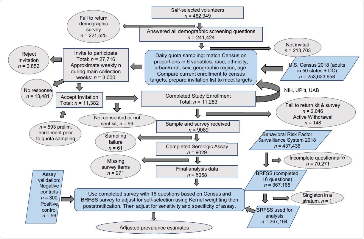 Serosurvey overview and statistical workflow. A flow chart of donor recruitment through data analysis displaying steps in data acquisition and any attrition from data sets if applicable. Key: Ovals = starts and ends, gray rectangles = subsets of participants in this study, blue parallelograms = individuals from outside data sets that contribute to adjusted prevalence estimates, blue rounded rectangles = analysis processes.