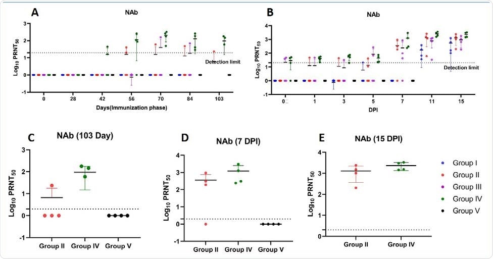 Neutralizing antibody response in rhesus macaques (A) NAb titers in animals of group I, II, III, IV and V from 0 to 103 days of immunization period (B) NAb titers in animals of group I, II, III, IV and V at 0, 1, 3, 5 7, 11 and 15 DPI (C) Peak NAb titers at day 103 of immunization phase of group II, IV and V (D) Peak NAb titers at 7 DPI of groups II, IV and V (E) Peak NAb titers at 15 DPI of group II and IV. The statistical significance was assessed using the Kruskal-wallis test followed by the two tailed Mann-Whitney test between two groups; p-values of less than 0.05 were considered to be statistically significant. The dotted line on the figures indicates the limit of detection the assay. Data are presented as mean values +/- standard deviation (SD). Statistical comparison was done by comparing the vaccinated group with the placebo group as control. Group I = blue, group II = orange, group III = purple, group IV = green and group V = black, number of animals = 4 animals in each group.