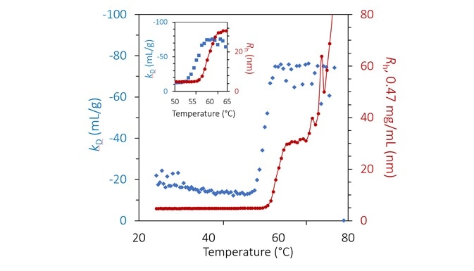 Diffusion interaction parameter (blue diamonds, left axis) and radius (red circles and solid line, right inverted axis) at lowest concentration as a function of temperature at pH 8.5. Inset: same, highlighting the transition region.