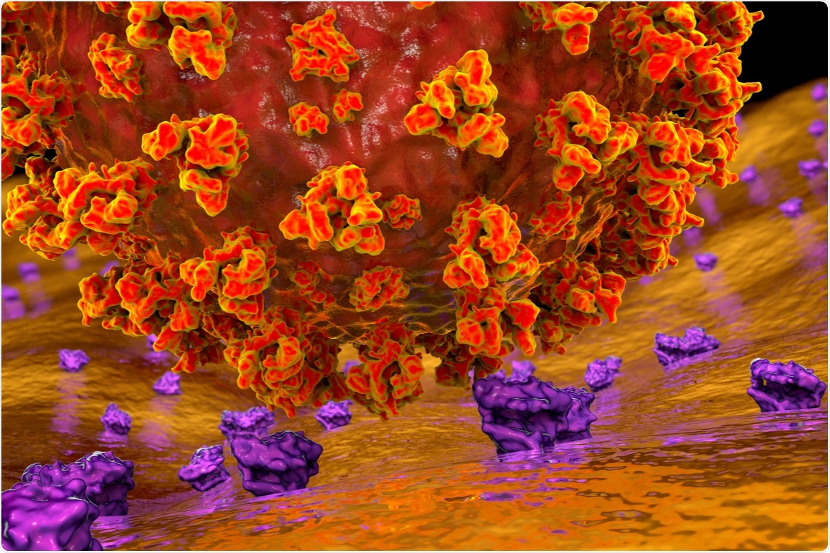 Study: Protein glycosylation is essential for SARS-CoV-2 infection. Image Credit: Kateryna Kon / Shutterstock