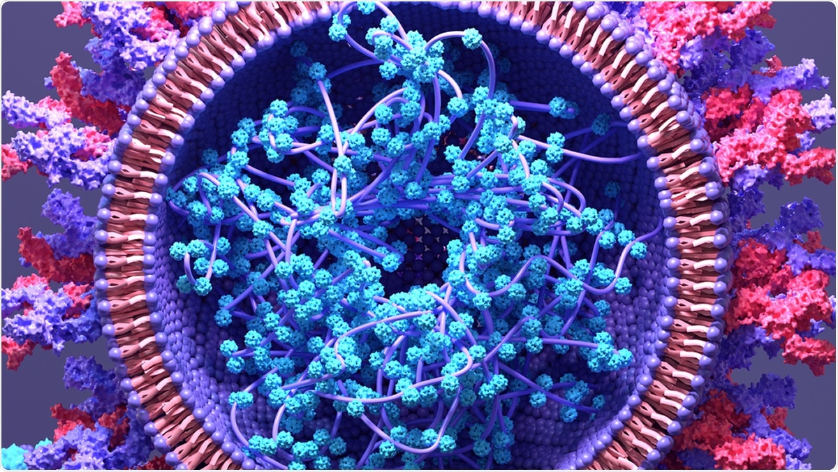 Study: A glimpse into the diverse cellular immunity against SARS-CoV-2. Image Credit: Design_Cells / Shutterstock