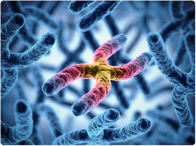 Image Credit: koya979 / Shutterstock.com Image Credit: koya979 / Shutterstock.com