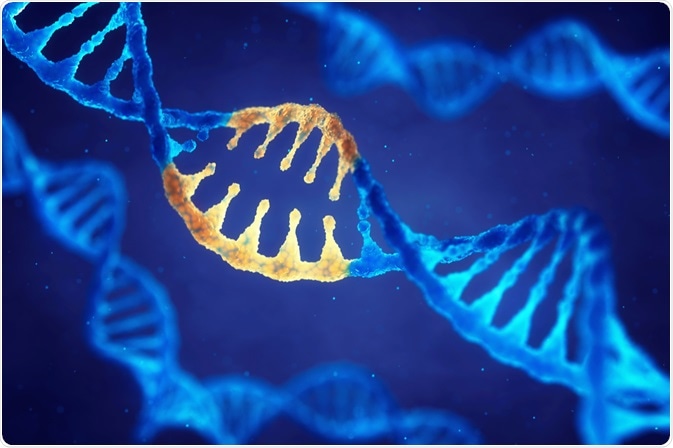 Image Credit: nobeastsofierce / Shutterstock