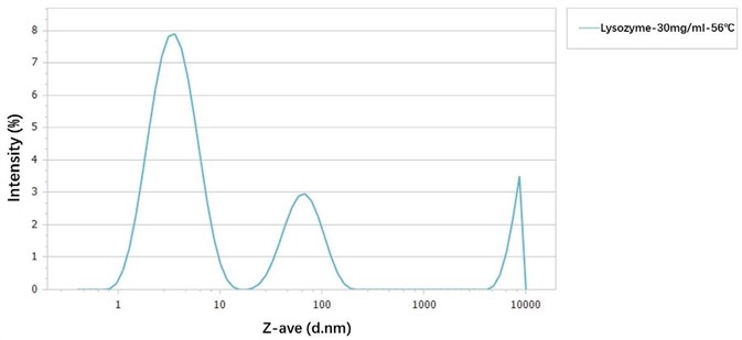 Size distribution of 30 mg/mL lysozyme at 56 ℃.