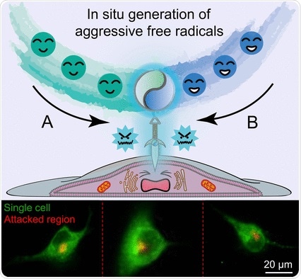 Scientists develop microfluidic probe for free radical attack on live cells