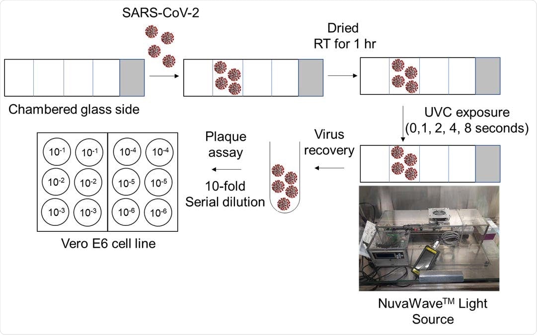 Schematic representation of the workflow. SARS-CoV-2 was placed on the chambered glass slide, dried for 1 hour at room temperature, and then exposed to UVC light radiation using the NuvaWave device for 1, 2, 4 and 8 seconds. No UVC light exposure was used as control. After UVC light exposure, virus was recovered, serial diluted and used to assess viable virus in Vero E6 cells by the plaque assay.