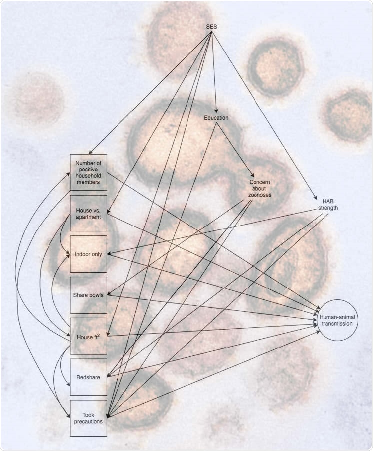 Directed acyclic graph for human-animal SARS CoV2 transmission. Variables outlined with a square are the exposures of interest, while outcome (approximated by serostatus, PCR result, and COVID-19 like illness in separate models) is outlined with a circle. HAB: human-animal bond; SES: socioeconomic status; took precautions: SARS-CoV-2 positive household member(s) took precautions to prevent transmission to pet; indoor-only: animal does not go outdoors; bedshare: animal shares a bed with one or more household members.