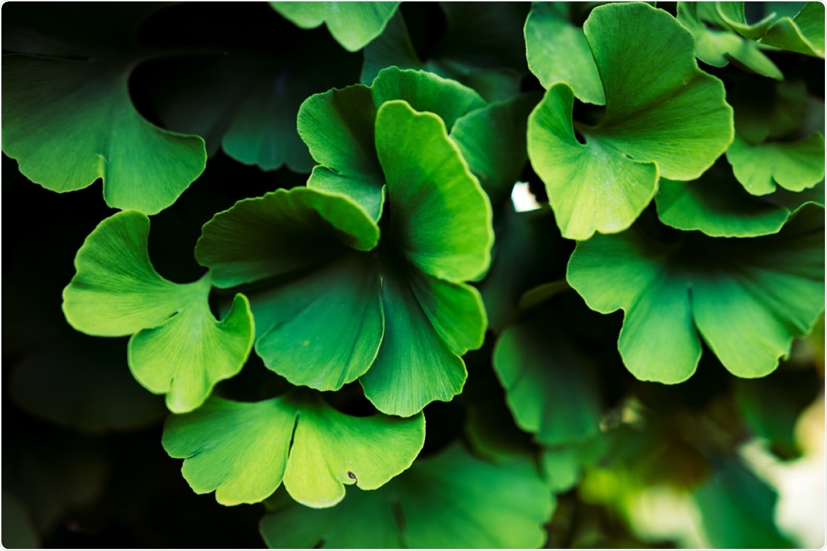 Study: Discovery of naturally occurring inhibitors against SARS-CoV-2 3CLpro from Ginkgo biloba leaves via large-scale screening. Image Credit: Damian Lugowski / Shutterstock