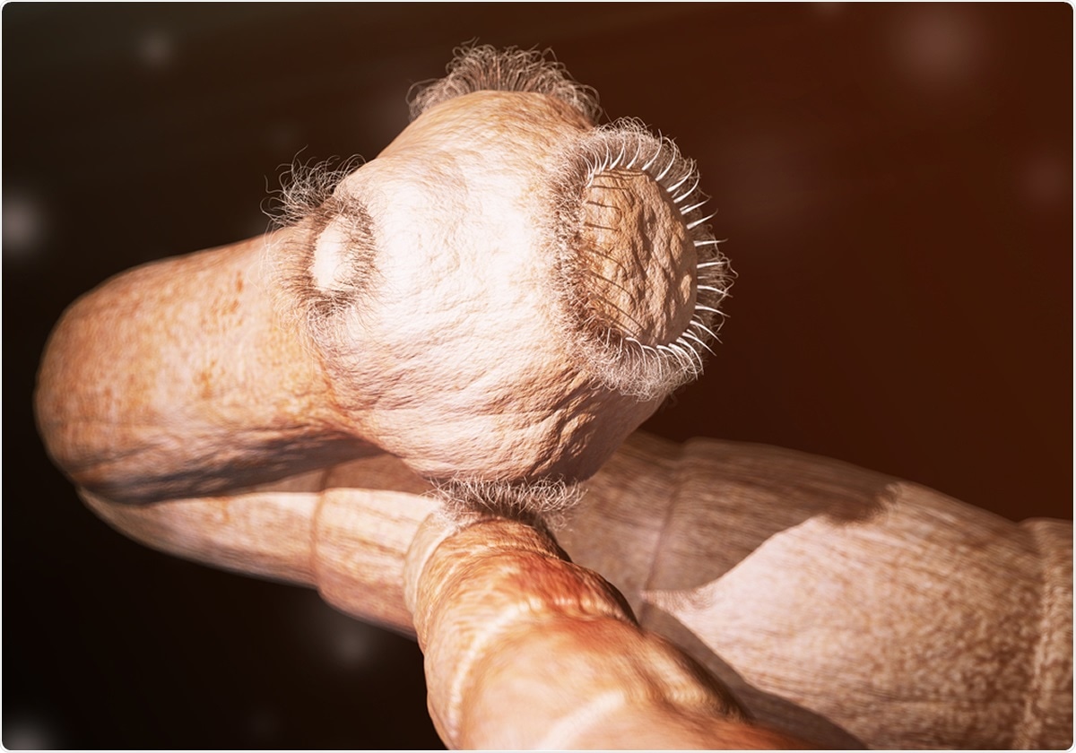 Tapeworm under the microscope-- 3d rendering. Image Credit: Crevis / Shutterstock