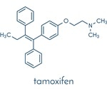 Tamoxifen Mechanism