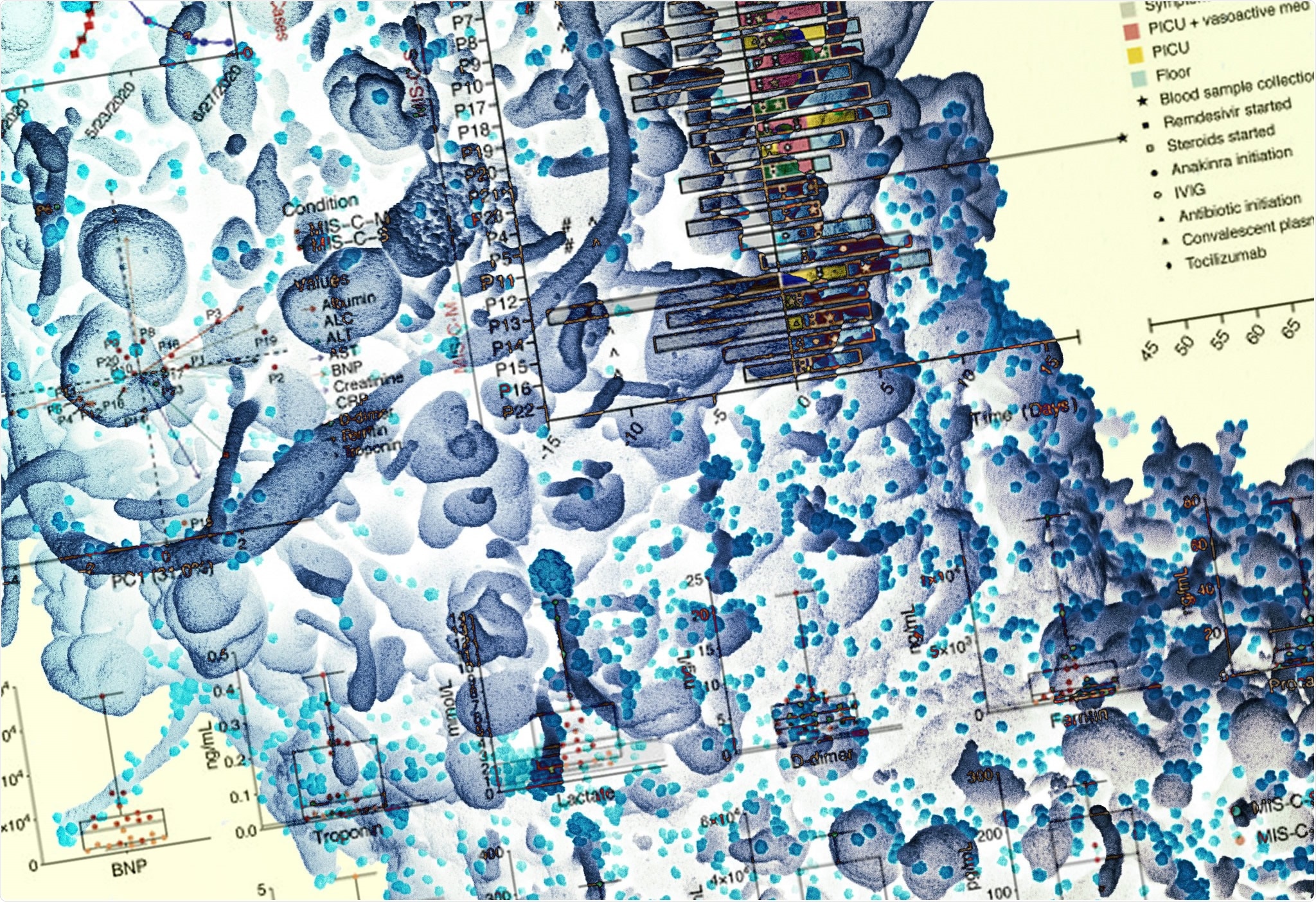 Study: Immune dysregulation and autoreactivity correlate with disease severity in SARS-CoV-2-associated multisystem inflammatory syndrome in children. Image Credit: NIAID and Immunity Journal