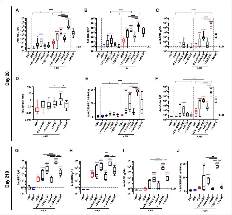 RBD formulated with AH:CpG induces robust production of anti-RBD neutralizing antibodies in young adult mice Young adult, 3-month-old BALB/c mice were immunized IM on Days 0 and 14 with 10 µg of monomeric SARS-CoV-2 RBD protein with indicated adjuvants. Each PRR agonist was administered alone or formulated with aluminum hydroxide (AH). (A–F) Serum samples were collected on Day 28, and (A) Anti-RBD IgG, (B) IgG1, (C) IgG2a, (D) IgG2a/IgG1 ratio, (E) hACE2/RBD inhibition rate, and (F) anti-Spike IgG were assessed.