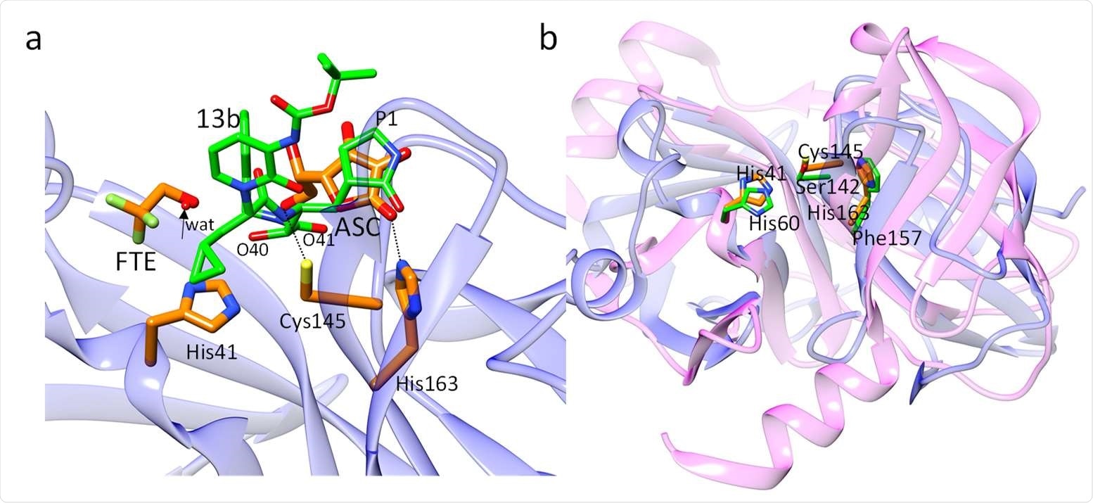 Structural comparisons. (a) Comparison of ligands in the active site of CoV-2 3CLpro. The position of the L-ascorbate molecule relative to compound 13b in 3CLpro as determined by Zhang et al., 2020. The positions of the C2’-oxygens is close to the two compound 13b oxygens O40 and O41 (marked), and the dihydroxyfuranone-ring of ASC coincides with the P1 moiety of compound 13b. The arrow points to a water molecule found in the structure of 3CLpro complexed with compound 13b. This position is occupied by the FTE oxygen. (b) Overlay of the N-terminal domain of CoV-2 3CLpro (blue ribbon, from residues 8 to 181) on the Hepatitis-C virus (HCV) serine protease (magenta ribbon). Active site residues are shown (orange for the 3CLpro, and green for the HCV protease). The active sites of both proteins are very similar. The positions of the catalytically active Cys145/Ser142 and His41/His60 are essentially identical. His163 in CoV-2 3CLpro is replaced by the structurally similar Phe157 in the HCV protease.