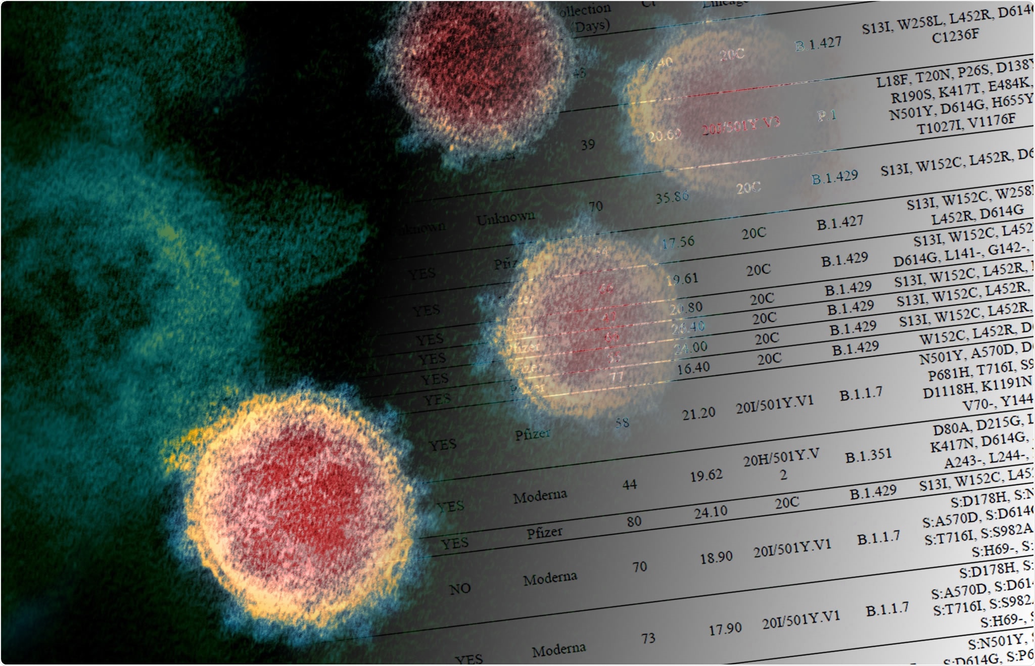 Study: Variants of concern are overrepresented among post-vaccination breakthrough infections of SARS-CoV-2 in Washington State. Image Credit NIAID