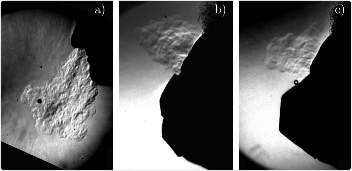Schlieren imaging of a person exhaling (a) without a mask (b) with a surgical mask (c) with an FFP2 mask. Temperature acts as a passive scalar with respect to turbulent transport, the same way CO2 and small aerosols do. The schlieren technique shows local variations in the air refractive index caused by the warm air exhaled out of the body.