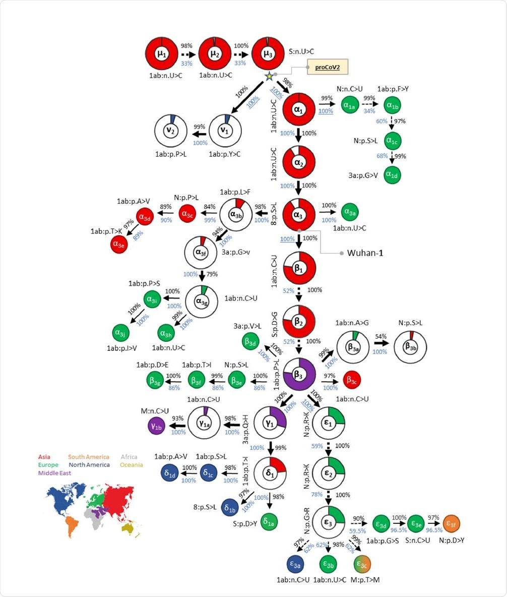 Mutational history graph of SARS-CoV-2 from the 29KG dataset. Thick arrows mark the pathway of widespread variants (frequency, vf = 3%), and thin arrows show paths leading to other common mutations (3% > vf > 1%). The pie-chart sizes are proportional to variant frequencies in the 29KG dataset, with pie-charts shown for variants with vf > 3% and pie color based on the world