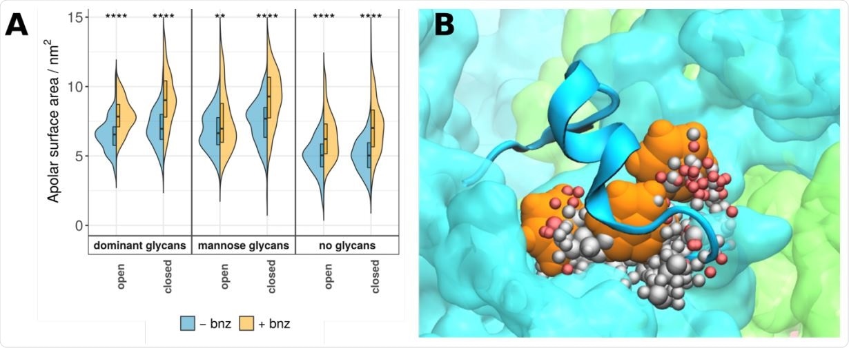 Chemical properties of the MM pocket. (A) Apolar surface areas of the MM pocket are shown as violin plots and labelled as in Figure 2. Similar to positive controls, the addition of benzene to the system increases overall apolar component of the pocket in question. System names are as described in Figure 2. (B) A portion of the MM pocket packed underneath the 617-628 loop. Three benzene molecules (in orange) are able to interact with the protein surface and occupy a predominantly hydrophobic binding pocket (spheres representing the pocket are colour coded as in Figure 1).